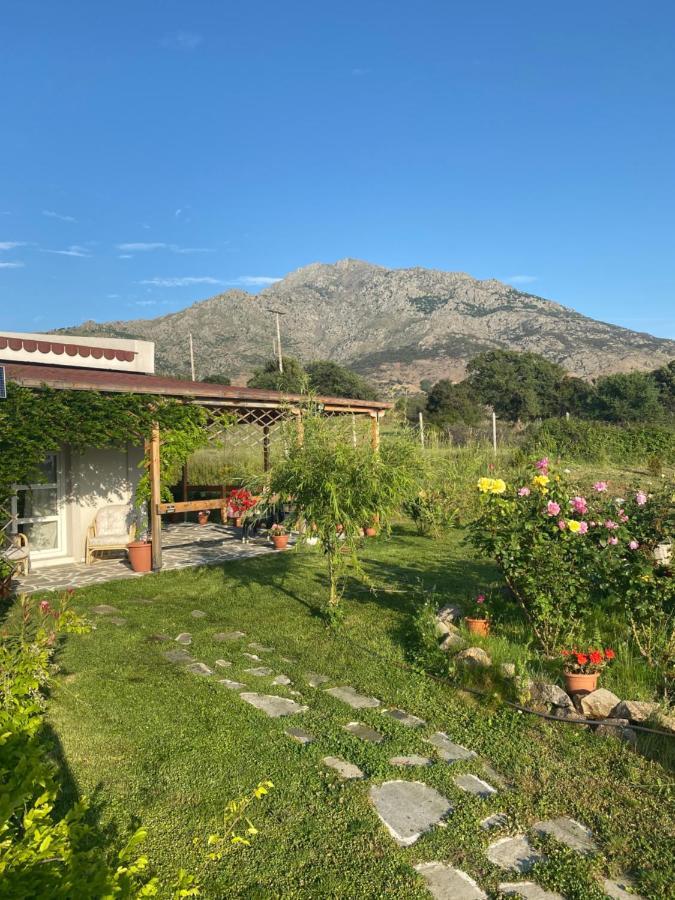 Samothraki - Sea, Mountain, Quiet Villa Eksteriør bilde